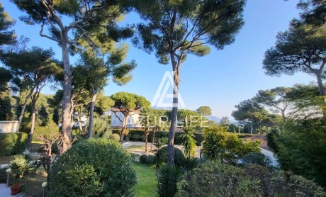 Более подробно